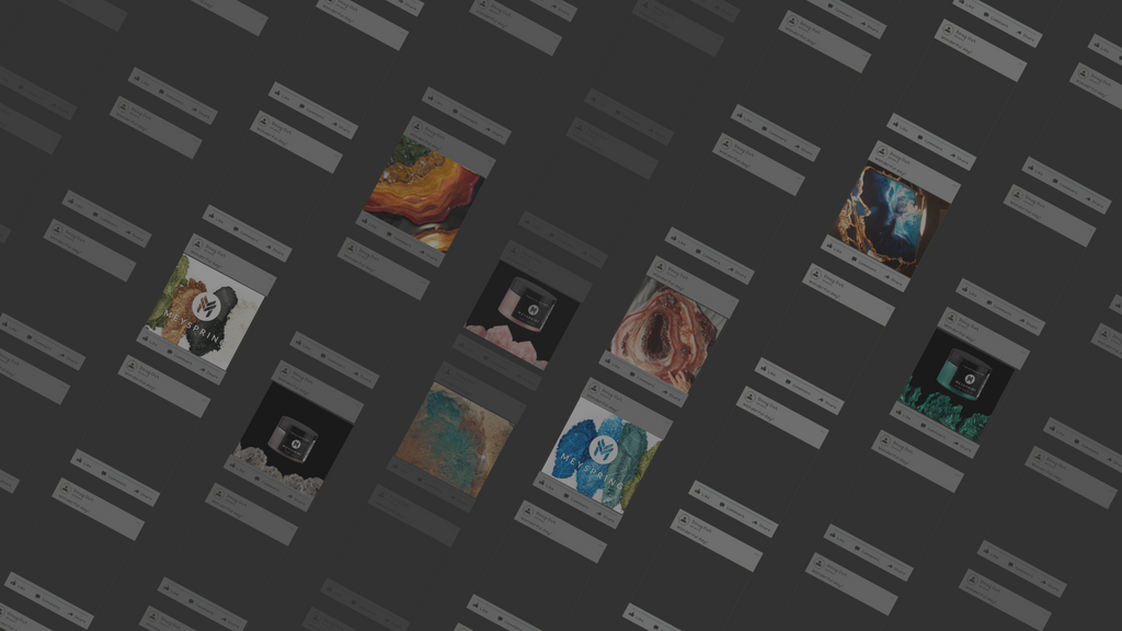 MEYSPRING on Social Media
